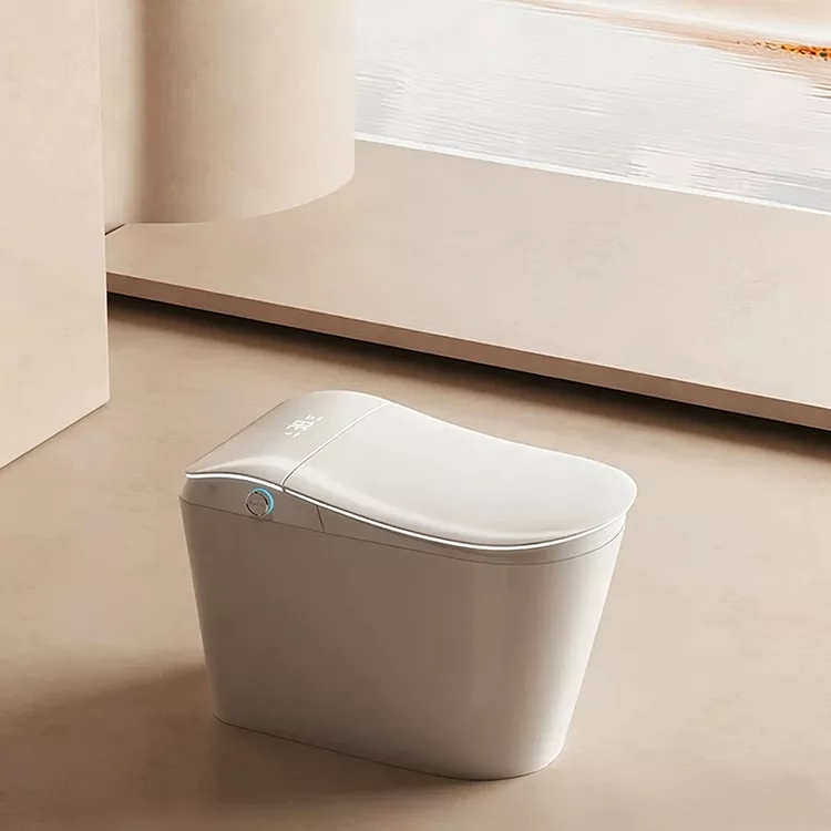 Išmanusis tualetas su įmontuotu vandens filtru ir kojelėmis įjungiamu nuplovimu